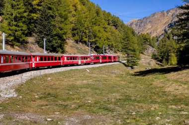 Bernina, fil da prairol 'e giden hızlı tren treni.