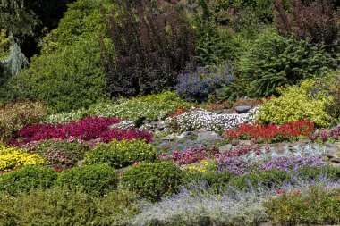 large rock garden featuring multi coloured plants