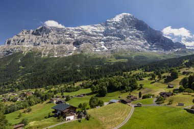 Tipik ahşap kiraz ve çayırlık çayırları olan Eiger Grindelwald üzerinde