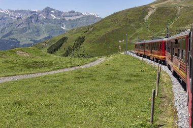 Dağ treni Kleine Scheidegg 'den güneşli yaz gününe doğru yükseliyor.
