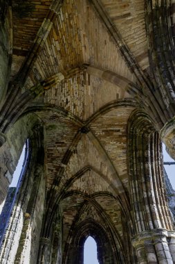 Whitby Manastırı Kuzey Yorkshire Tavan güneşli mavi gökyüzü