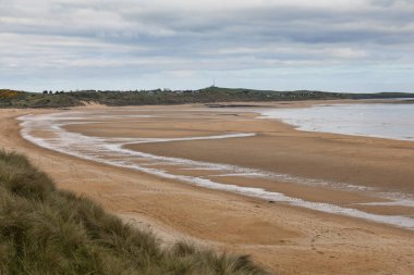 Gündüz vakti Craster Northumberland yakınlarında terk edilmiş kumsallar ve ambleton körfezinde kum tepeleri.