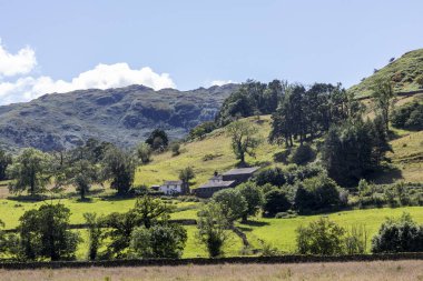 Tepelerde tipik bir çiftlik göl kenarında çimen yakınında güneşli bir yaz günü hiç kimse