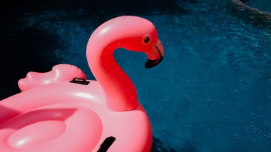 Yaz tatili eğlenceli Pembe Flamingo yüzme havuzunda süzülüyor. Flamingo, mavi yaz konseptinde.