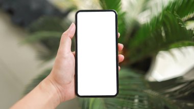 Kadınların cep telefonunun boş fotokopi ekranını tutarken çekilmiş görüntüsü. Teknoloji konsepti olan akıllı telefon