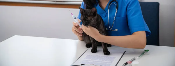 흉부외과의 사세요 고양이는 수의사의 테이블에 수의학적 의사와 고양이 — 스톡 사진