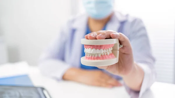 歯科医院の歯科医師口腔外科医による顎のX線についての歯科モデルを用いた白い健康な歯口腔外科 — ストック写真