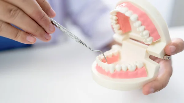 歯科医院の歯科医師口腔外科の歯科モデルを用いた白い健康な歯タブレット医療の顎のX線を議論口腔外科の概念 — ストック写真