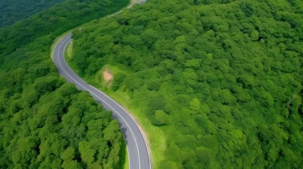 Aerial Top View Erdő Autó Ökoszisztéma Környezet Koncepciójavidéki Áthaladó Zöld — Stock Fotó