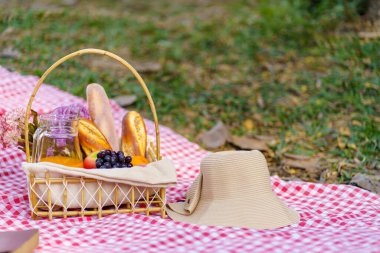 Picnic Lunch Meal Outdoors Park with food picnic basket. enjoying picnic time in park nature outdoors