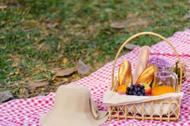 Picnic Lunch Meal Outdoors Park with food picnic basket. enjoying picnic time in park nature outdoors