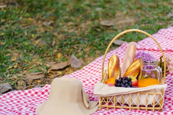 Picnic Lunch Meal Outdoors Park Food Picnic Basket Enjoying Picnic — Fotografia de Stock