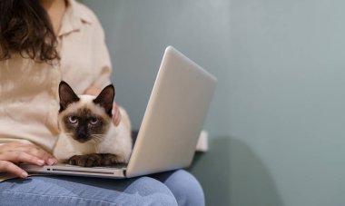 Evde kedisiyle çalışan bir kadın. Kedi klavyede uyuyor. Laptop 'ta çalışan yardımcı kedi.