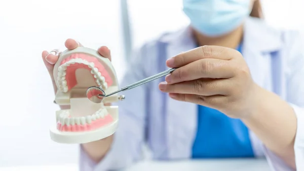 歯科医院の歯科医師口腔外科の歯科モデルを用いた白い健康な歯タブレット医療の顎のX線を議論口腔外科の概念 — ストック写真