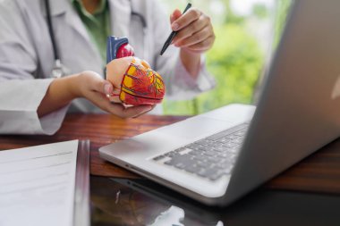 Kalp hastalıklarının kardiyoloji konsültasyonu. Doktor kardiyolog dizüstü bilgisayarda anatomik modeli incelerken çevrimiçi konsültasyon.