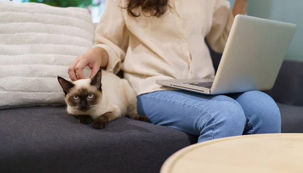 Egy Aki Otthon Dolgozik Macskával Macska Alszik Laptop Billentyűzetén Asszisztens — Stock Fotó