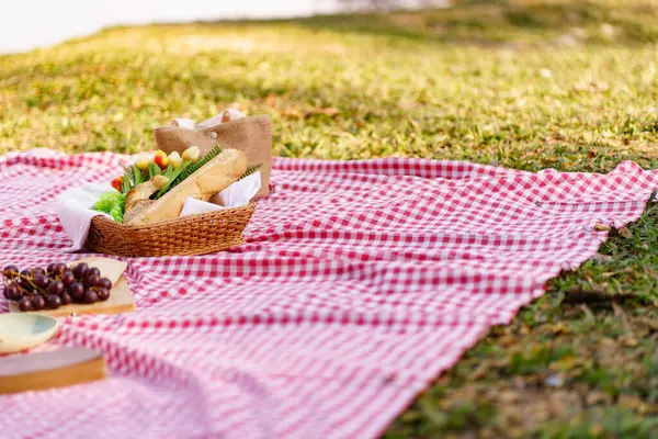 Обід Пікнік Харчування Відкритому Повітрі Парк Кошиком Пікніка Їжі Насолоджуючись — стокове фото
