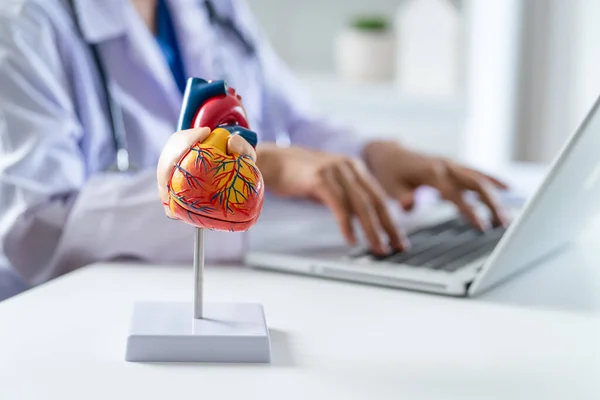 stock image Doctor consult patient on laptop with anatomical model of human heart Cardiologist supports the heart Online doctor appointment.