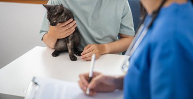 Profesyonel veteriner Cat 'e yardım eder. Sahibi kedi, elinde evcil hayvan tutuyor. Veteriner kliniğinin muayene masasındaki kedi. Veteriner bakımı. Veteriner doktor ve kedi..