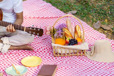 Picnic Lunch Meal Outdoors Park with food picnic basket. enjoying picnic time in park nature outdoors