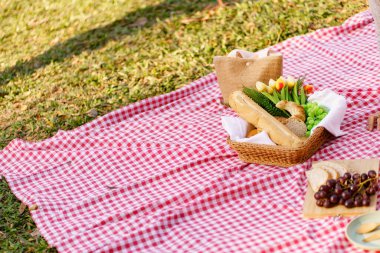 Picnic Lunch Meal Outdoors Park with food picnic basket. enjoying picnic time in park nature outdoors