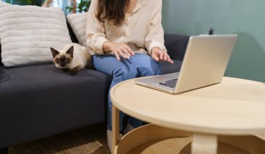 Evde kedisiyle çalışan bir kadın. Kedi klavyede uyuyor. Laptop 'ta çalışan yardımcı kedi.