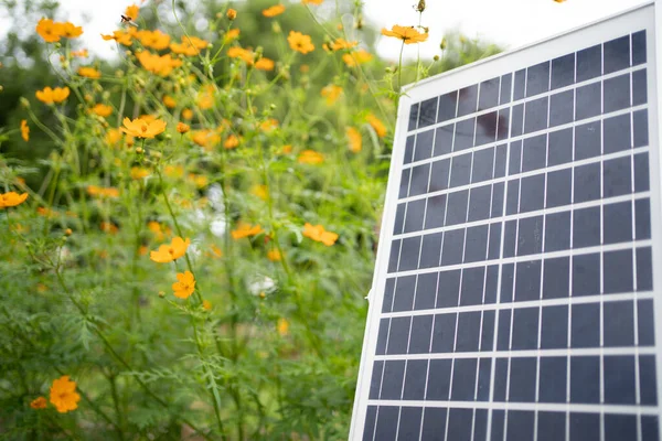 Sluneční Panelová Soustava Blízkosti Fotovoltaického Alternativního Zdroje Elektrické Energie Koncepce — Stock fotografie