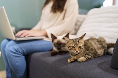 Evde kedisiyle çalışan bir kadın. Kedi klavyede uyuyor. Laptop 'ta çalışan yardımcı kedi.