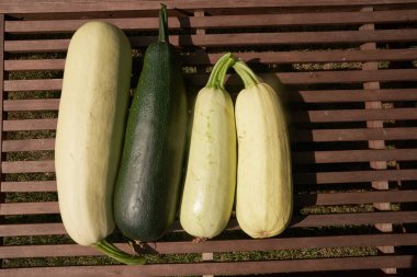 Yakın planda dört büyük kabak ahşap bir masanın üzerinde duruyor, fotokopi için en üstte yer var. Yüksek kalite fotoğraf