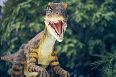 Veloceraptor 'lar hünerleriyle, ince ve ince fiziğiyle ve mükemmel burunlarıyla karakterize edilen yaygın türler olarak sınıflandırılırlar. Kopyalayacak yer de var. Yüksek kalite fotoğraf