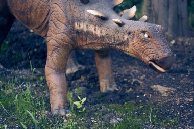 Stegosaurus otçul bir dinozor türüdür, Kretase döneminin en sonundan bir dinozor. Kopya alanı ile yakın çekim. Yüksek kalite fotoğraf