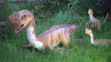 Çimenlerin arka planına karşı oviraptor gözlerini kırpıyor. Göz hareketinin etkisi. Dinozor gagalı küçük bir kuştur. Yüksek kalite 4k görüntü