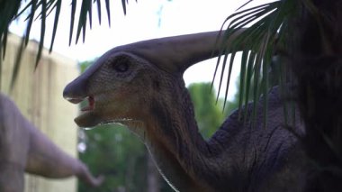 Güneşli bir yaz gününde bir parkta sergilenen dev bir parasaurolophus başını sallar. Dinozor gökyüzü ve ağaçların arka planında. Yüksek kalite 4k görüntü