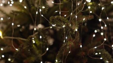 Yaklaşan Noel ve Yeni Yıl 'ın sembolü olarak süslü dekorasyonlar. Bir sürü beyaz ışığı olan firavun dalları, tel üzerinde bir LED çelenk. Yüksek kalite 4k görüntü