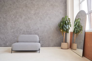 Evin modern iç tasarımı, rahat bir kanepe, gri duvarlar ve kapalı alan bitkileriyle zarif bir oturma odası ile karakterize edilir. Tasarımın için boş yer. Yüksek kalite fotoğraf