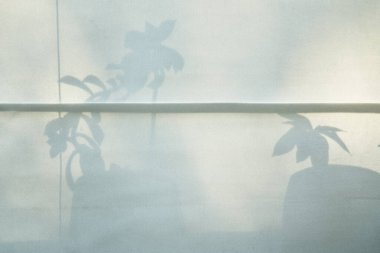 Kalıplı kumaş. Bitkiler duvarda gölgeler ve ışık parıltısı bırakır. Sunum için bir tasarım, ürünlerin, kozmetik ürünlerin, yiyeceklerin ya da mücevherlerin markası. Yüksek kalite fotoğraf