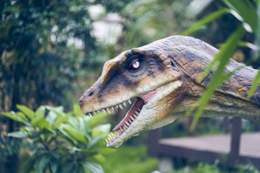 Velociraptor 'ların başına yakın çekim, el becerisi, ince yapısı ve mükemmel koku alma duyusuyla karakterize edilen en yaygın türlerden biridir. Yüksek kalite fotoğraf