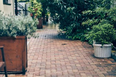 Bahçesinde küçük bir bahçesi ve büyük ağaçları olan, bahçesinde taş kaldırımı olan taştan bir ev. Kopyalanacak bir yer var. Yüksek kalite fotoğraf