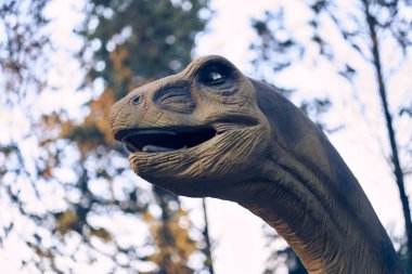 Ağaçların arka planında bir brachiosaurus 'un başı var, en büyük ve en popüler olanlardan biri. O, Jurasik dönemin sonunda yaşadı. Kopyalanacak bir yer var. Yüksek kalite fotoğraf