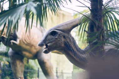 Parktaki dinozorların başına seçici bir şekilde odaklan. Güneşli bir yaz gününde parkta sergilenen dev bir parasaurolophus. Kopyalayacak yer de var. Yüksek kalite fotoğraf