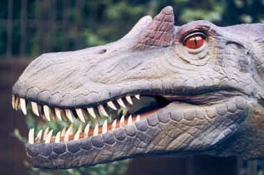 Spinosaurus 'un başına yakın çekim, oldukça büyük bir hayvandı. Boynuzlar, gözün yanındaki başlarda bulunur. Kopyalanacak bir yer var. Yüksek kalite fotoğraf