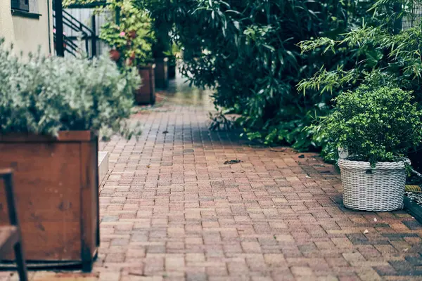 Bahçesinde küçük bir bahçesi ve büyük ağaçları olan, bahçesinde taş kaldırımı olan taştan bir ev. Kopyalanacak bir yer var. Yüksek kalite fotoğraf