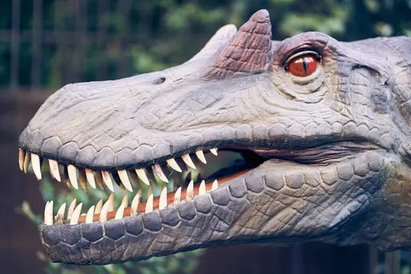 Spinosaurus 'un başına yakın çekim, oldukça büyük bir hayvandı. Boynuzlar, gözün yanındaki başlarda bulunur. Kopyalanacak bir yer var. Yüksek kalite fotoğraf