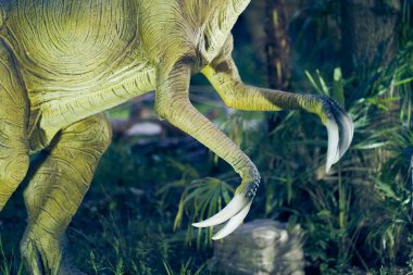 Hipertrofik pençeleri olan yırtıcı bir dinozorun pençeleri - terizinosaurus. Vücudun bir parçası, pençeli iki ayak. Kopyalanacak bir yer var. Yüksek kalite fotoğraf