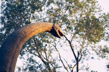 Dinozor bir Sauropod 'du, en büyüklerinden biriydi. Ağaçların ve gökyüzünün arka planında bir brachiosaurus 'un başı. O, Jurasik dönemin sonunda yaşadı. Kopyalayacak yer de var. Yüksek kalite fotoğraf