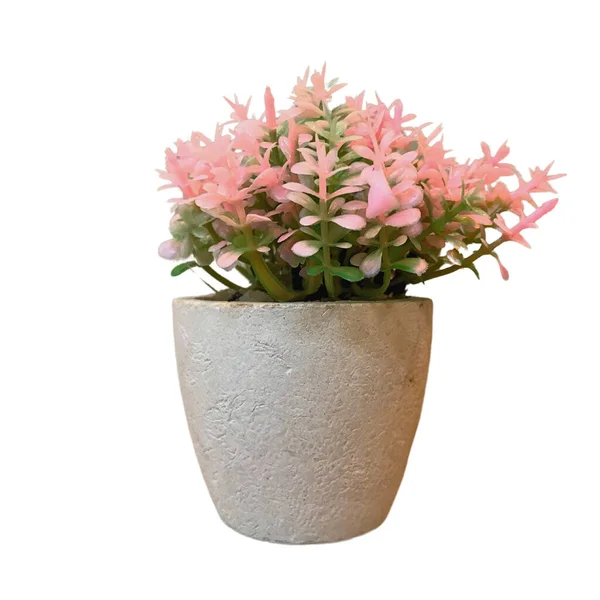 flowers in a bucket isolated on a white background with the text
