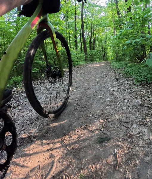 骑自行车的人骑在林间小径上 看自行车的底景 — 图库照片