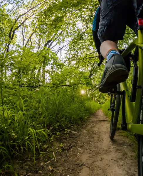 Cyklist Ridning Skogsstig Bottenvy Cykel — Stockfoto