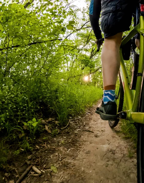 Cyklista Lesní Cestě Dolní Pohled Kolo — Stock fotografie