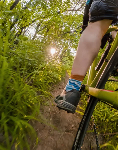 Radfahrer Auf Waldweg Unterwegs Blick Von Unten Auf Fahrrad — Stockfoto
